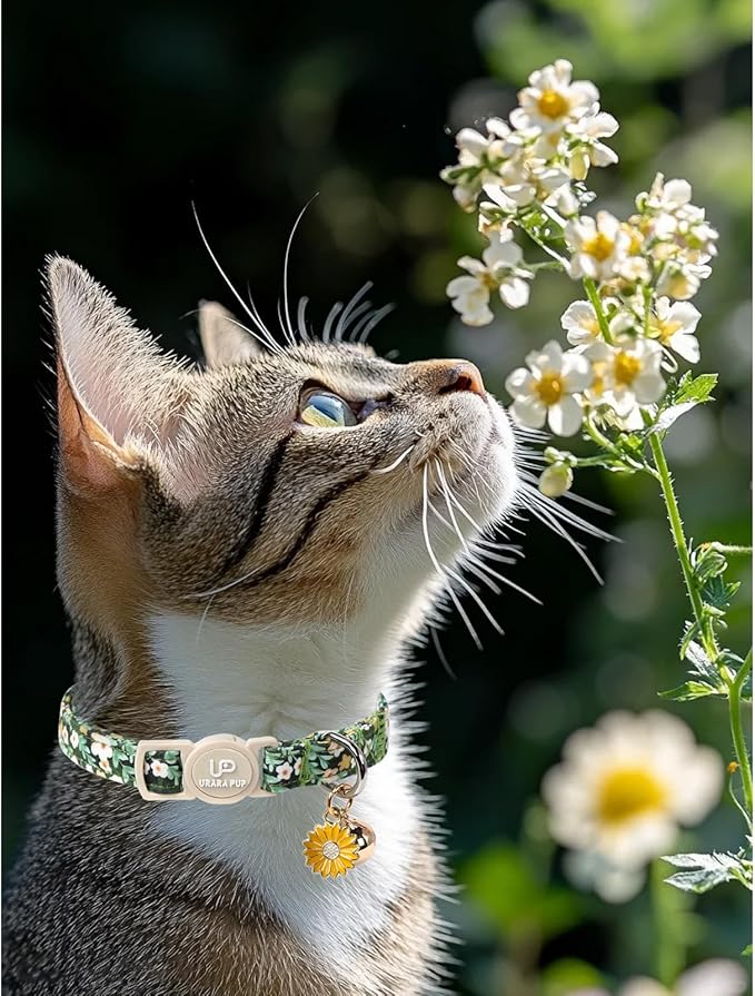 Cat Collar, Pretty Flower Kitten Collars - Image 4