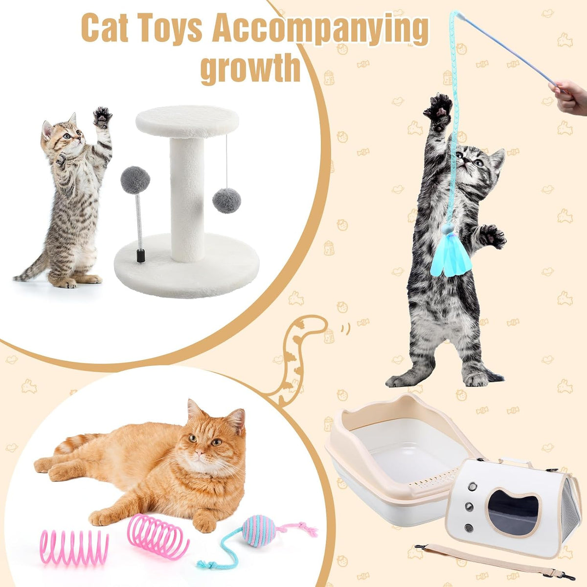 Eccliy 10 Pcs Kitten Starter Kit for Indoor, Classic, Small, White