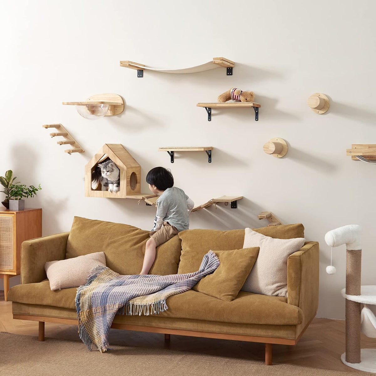 FUKUMARU Cat Wall Furniture Set, Transparent Capsule with 2 PCS Pedals