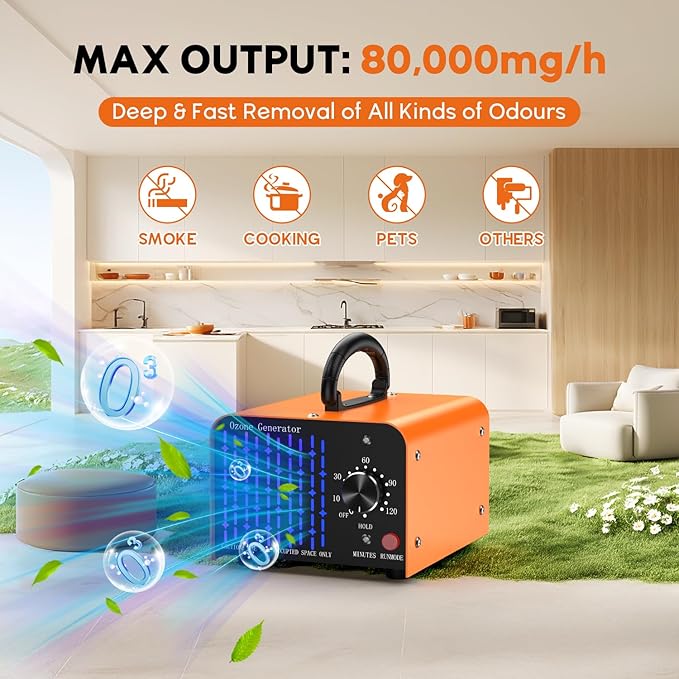 0zone Generator 80000mg - Image 3
