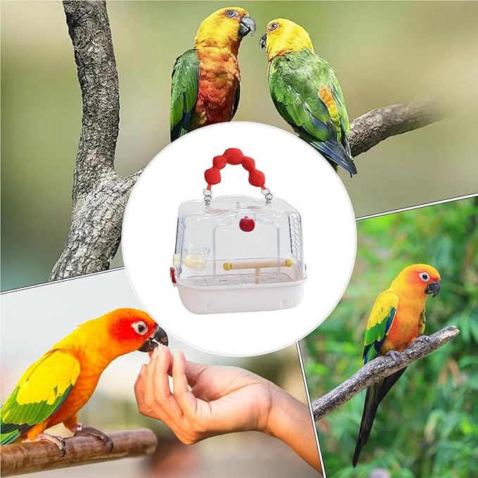 Bird Travel Cage – 12.32x9.06x9.17 inch Transparent Parrot Carry Bag | Bird - Image 2