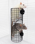 Rat Tunnel Tube with Peek Hole, Chew Resistant & No Collapsing