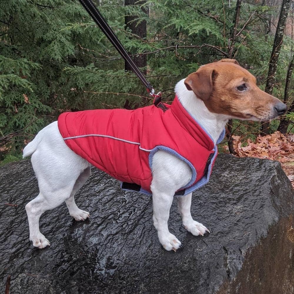 Gooby Sports Vest Dog Jacket, Red, Medium
