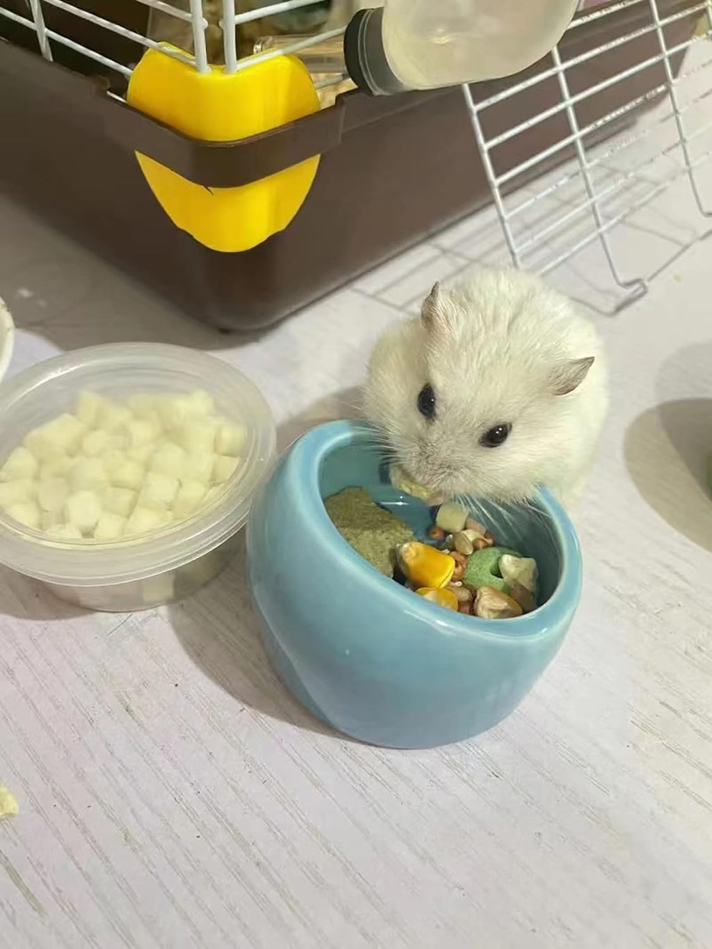 6 Pcs Hamster Ceramic Bowl, Food Dish Feeder Prevent