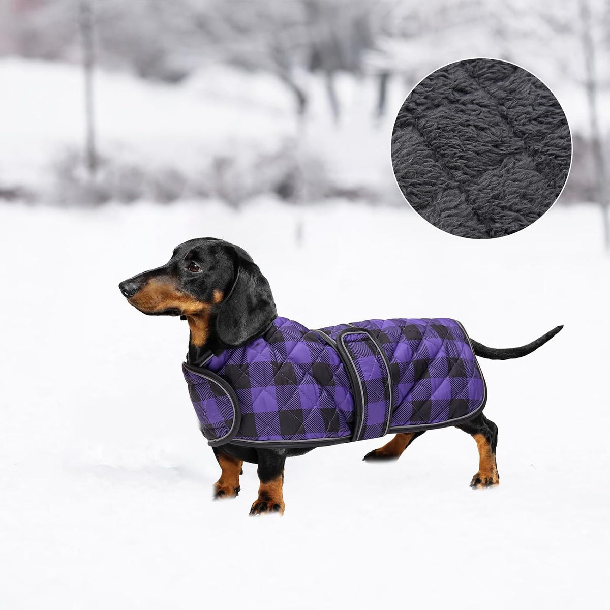 Waterproof Warm Thermal Quilted Dachshund Coat with Warm Fleecy Lining Inside,Outdoor Dog Apparel with Adjustable Bands for Small,Medium Dog-Purple-M