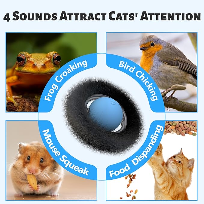ORSDA Cat Toys, Interactive Fast Rolling Ball in Pouch, Hide and Seek - Image 7