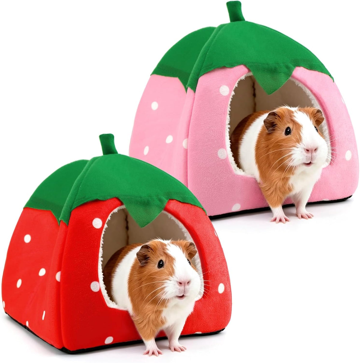Guinea Pig Hideout, 2 Pack Dwarf Rabbit House Bed