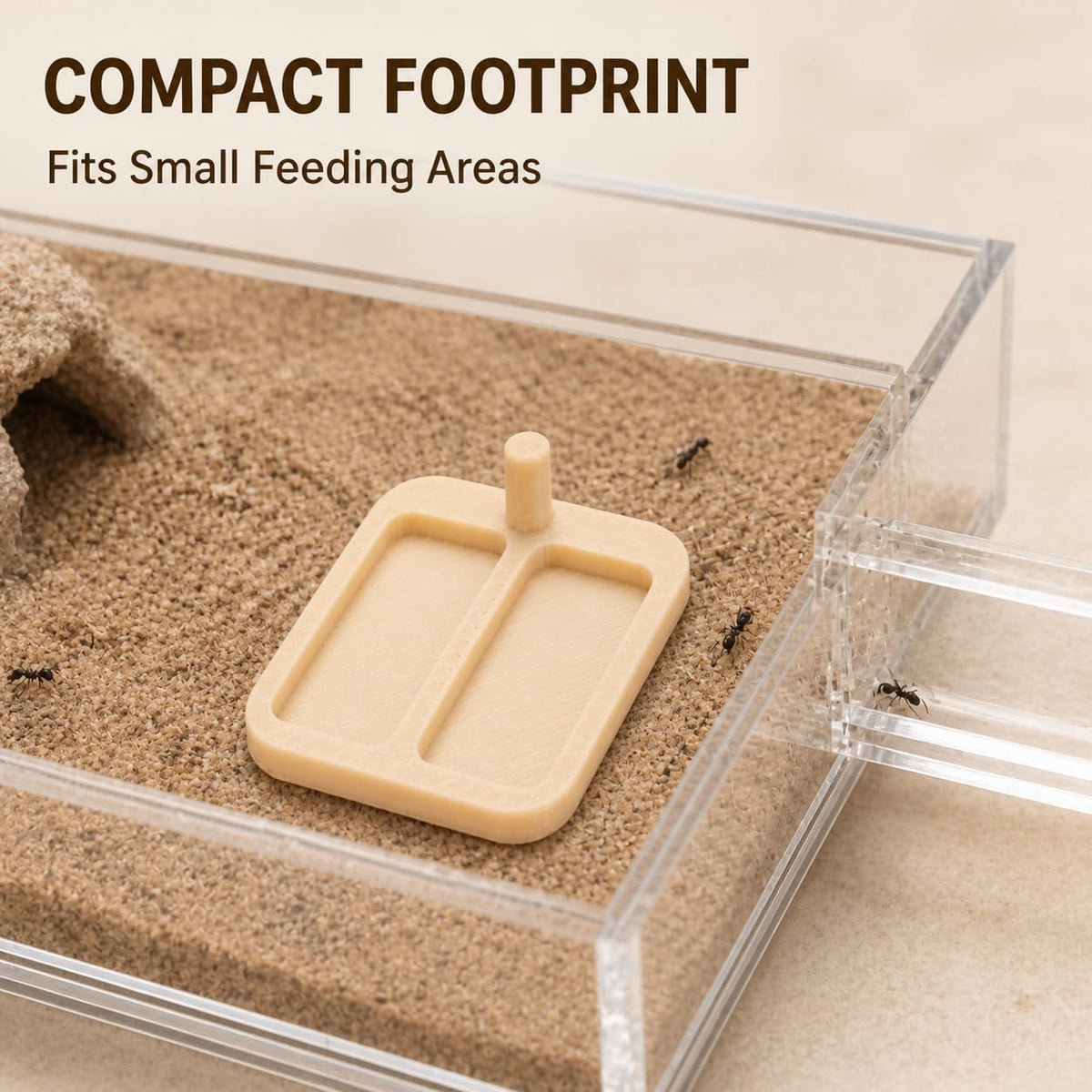 Miniature Liquid Feeder Tray for Ants, Small Reptile and Spider Feeding Dish, 20 Pack