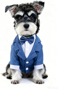 Black, White, Blue Dog Shirts for Wedding, Puppy Tuxedo, Dog Formal Wear, Doggie Tux, Suit and Tie Costume Blue Medium