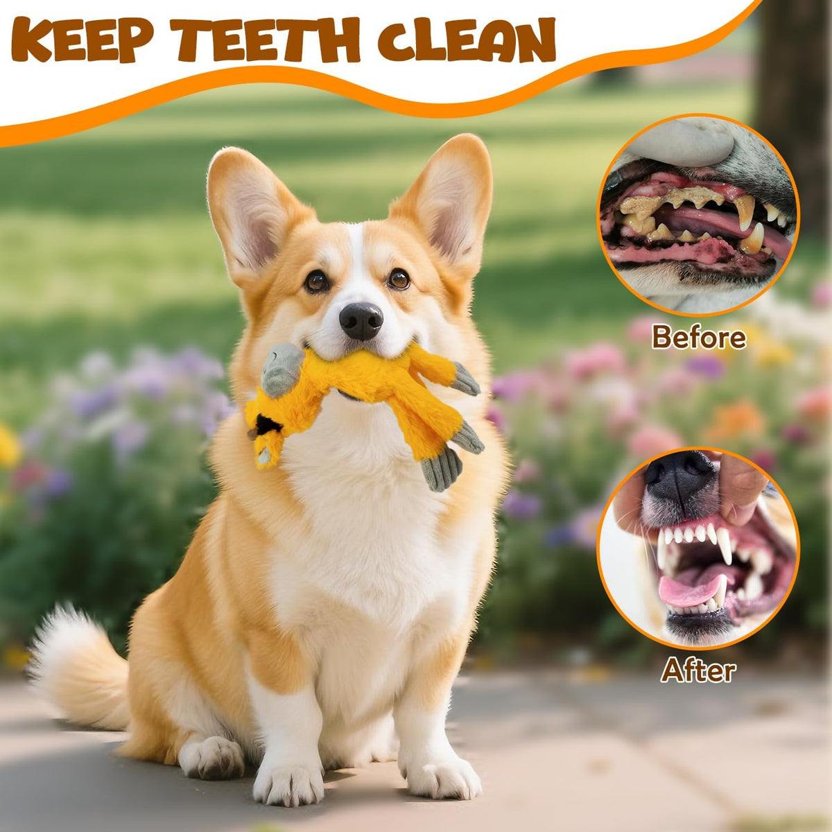 2 Pack No Stuffing Dog Toys,Squeaky Crinkle Stuffless Dog Chew Toys