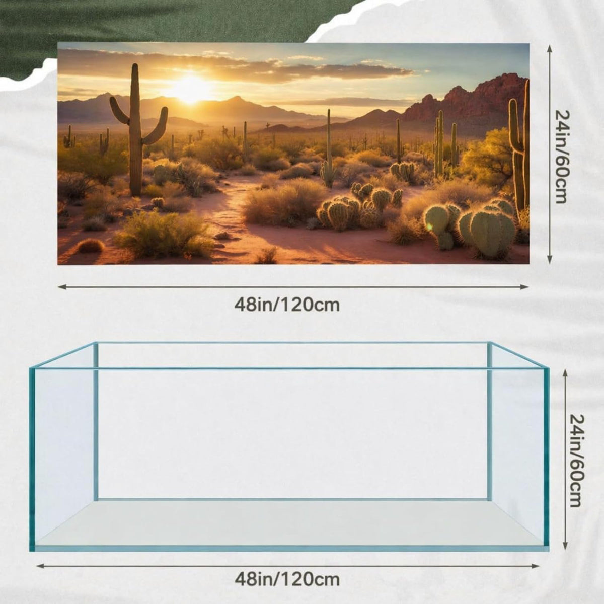 4 Pcs 4x2 ft/ 48 x 24'' Reptile Tank Background 55/75/90/120 Gallon