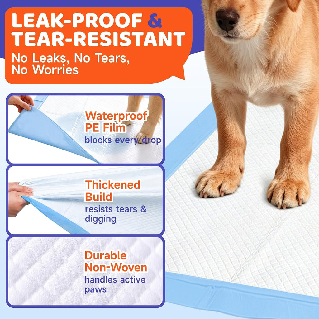 50-Pack 36×30in Super Absorbent Leakproof Disposable Puppy Pads,XXL