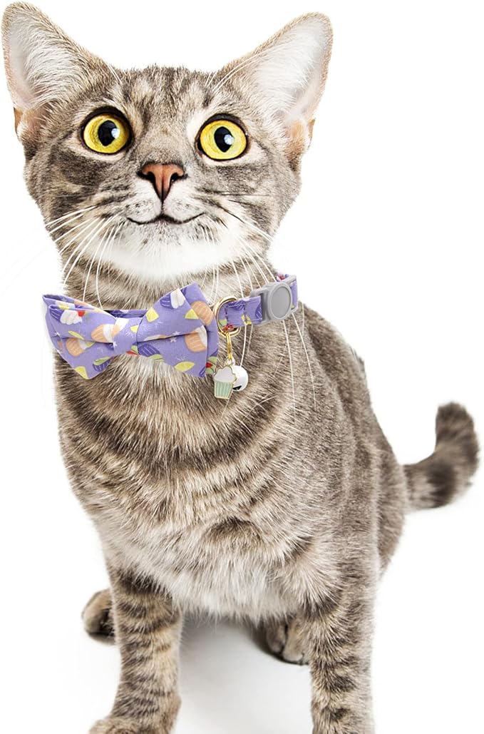 Faygarsle 2 Pack Cute Breakaway Cat Collar - Image 7