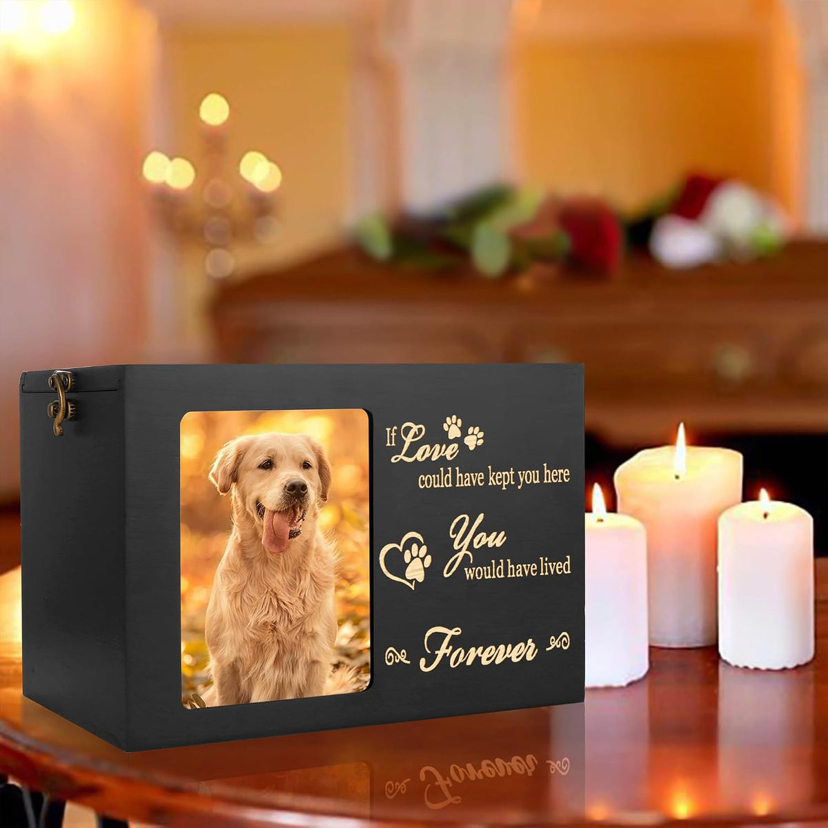 DGDCDV Pet Memorial Urns for Dogs Cats Ashes with Photo Frame