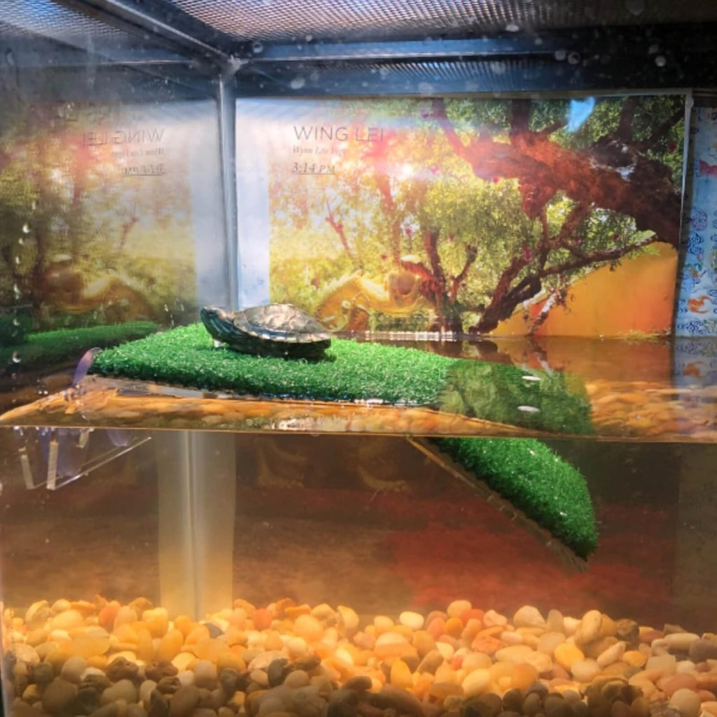 DoubleWood Lawn Turtle Basking Platform, Large