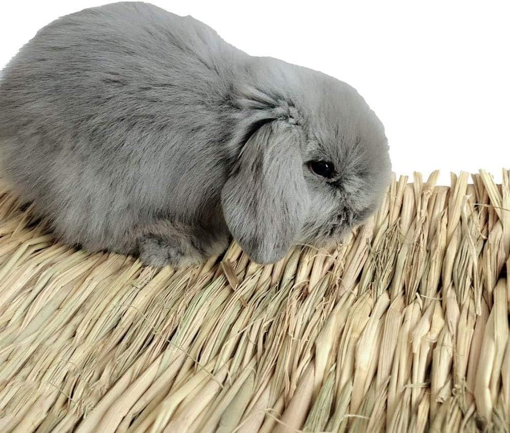 Hamiledyi 15 Pack Rabbit Grass Mat Natural Woven Bed Mat for Bunny Bedding
