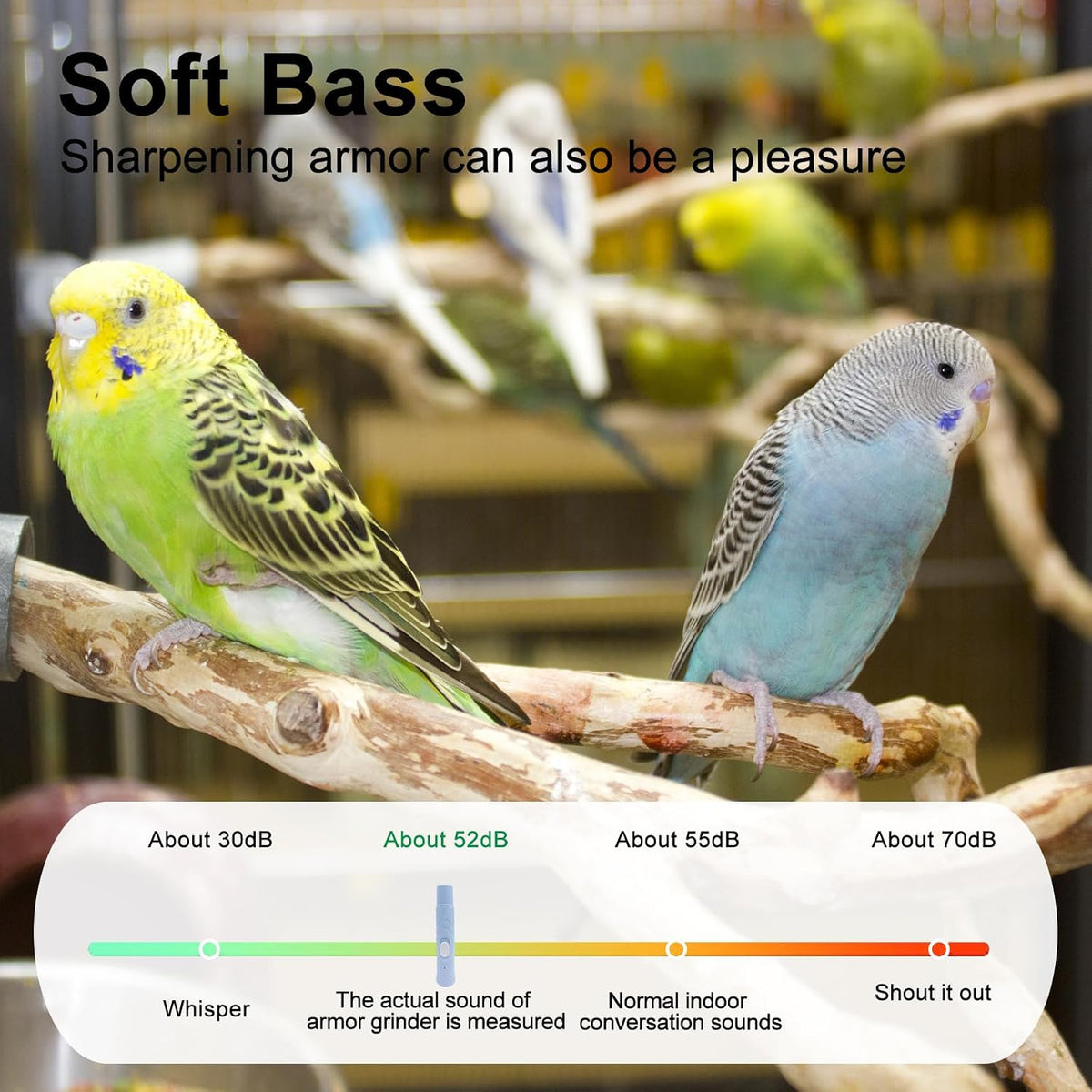 Bird Nail Grinder,Bird Beak Grinder,Silenced Bird Nail File with LED Lamp,Suitable for Budgerigars,Parakeets,Conure,Parakeets,Crested Myna,Lovebirds, Finches.