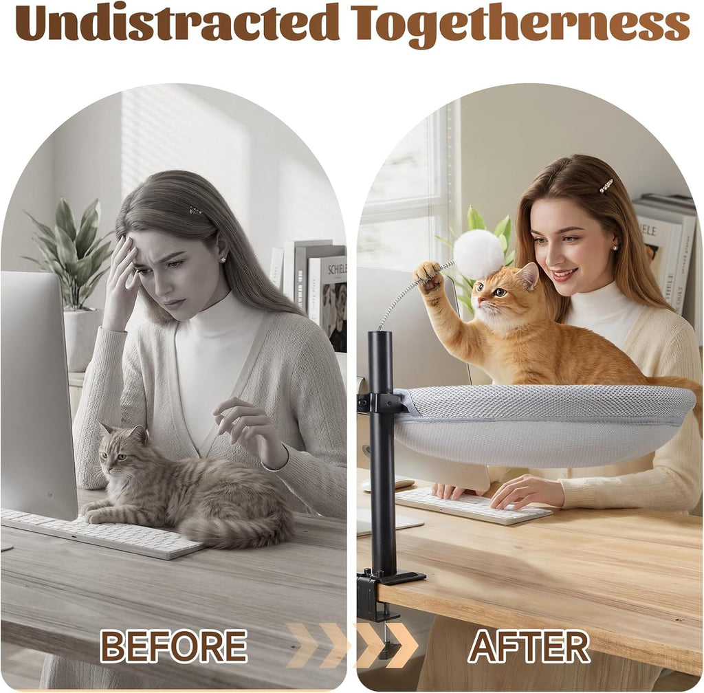 Cat Desk Bed with Interactive Hanging Ball