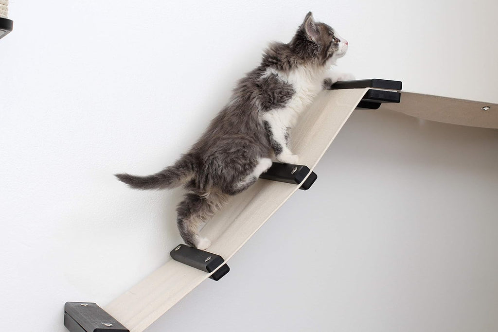 CatastrophiCreations Gardens Set for Cats Multiple-Level Wall Mounted Scratch, Hammock Lounge, Play & Climbing Activity Center Furniture Cat Tree Shelves