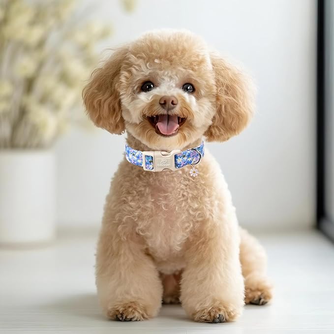 Floral Dog Collar for Large Dogs - Image 2