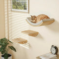 Cat Window Perches, Cat Wall Shelves with Curved Bed and 2 Sisal Mat Steps