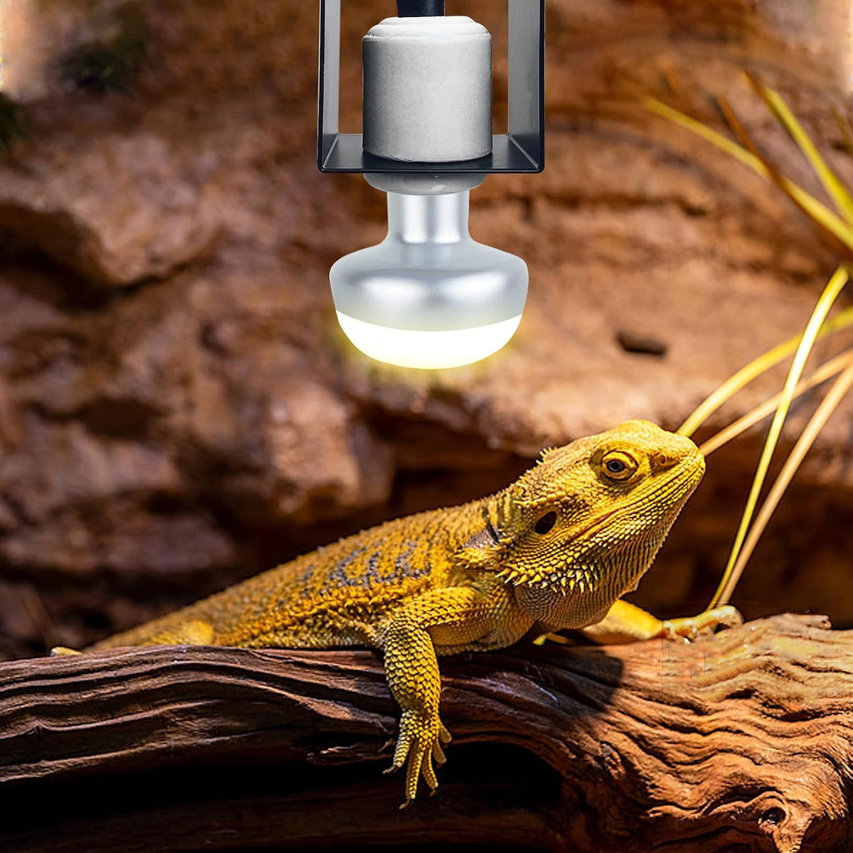 kathson 2Pcs Reptile Heat Lamp Fixture Ceramic E26 Base Light Bulb Socket with Separate Switches Bearded Dragon Lamp Holder Bracket for Iguana Snake Lizard Turtle Gecko Terrariums Habitat