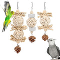Wontee Bird Toys 3 Pack Parrot Foraging Hanging Toys Sola Ball Natural Nuts by Wontee