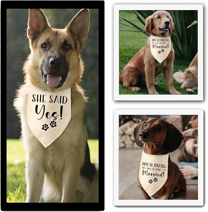 Engagement Gifts My Humans are Getting Married! SHE Said Yes! Pet Bandana Scarf - Image 5
