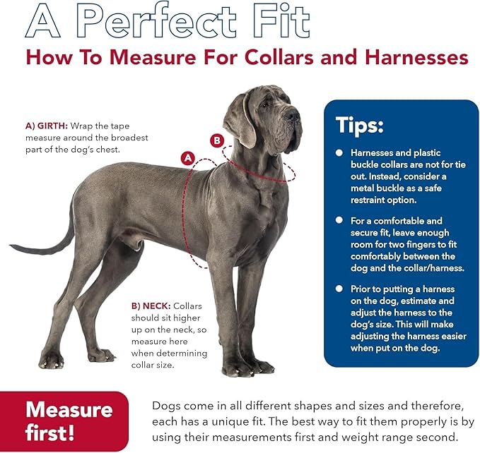 Coastal Pet K9 Explorer Reflective Adjustable Padded Dog Harness - Image 8