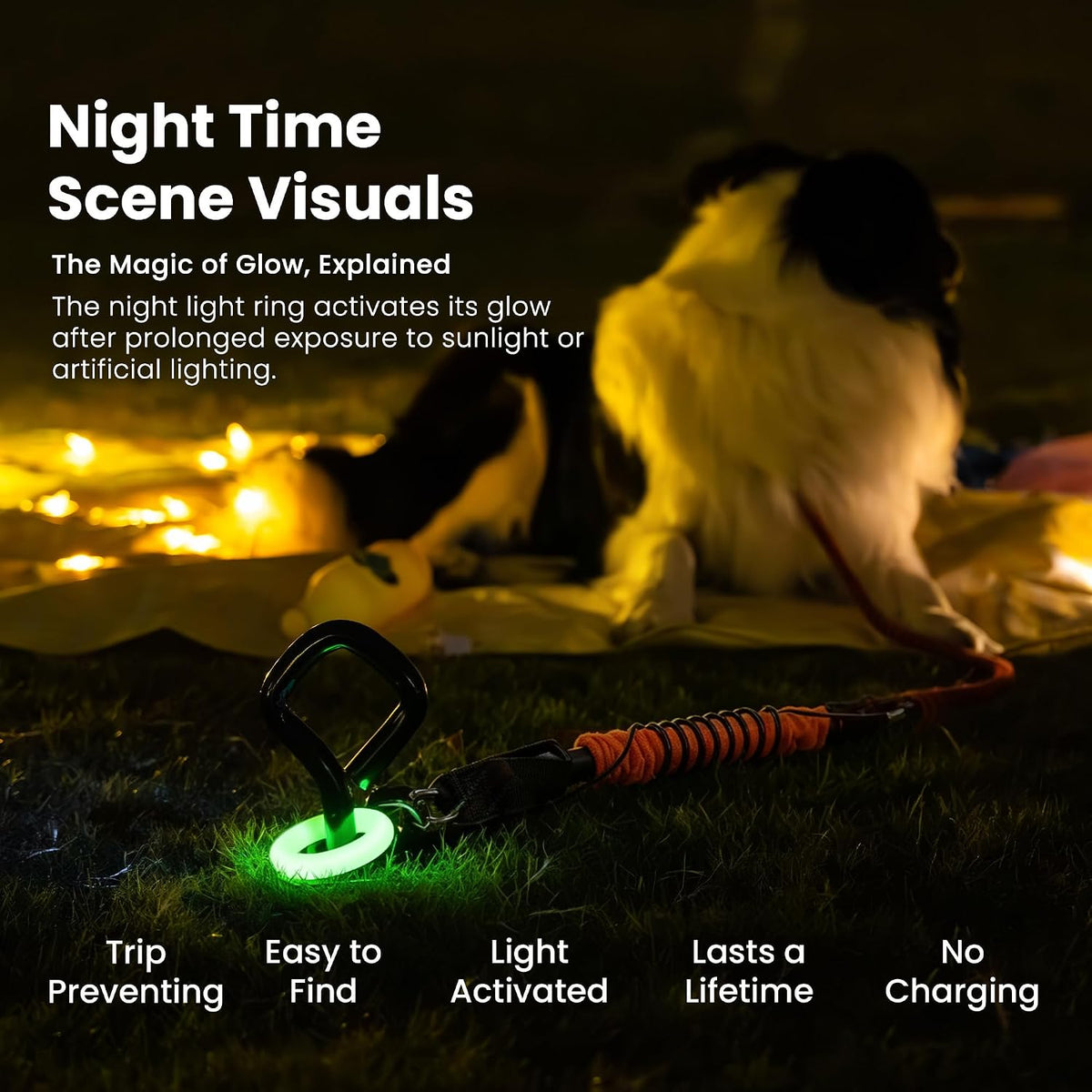 Glow Dog Tie Out Cable and Stake & Shock-Absorbing Bungee Tether