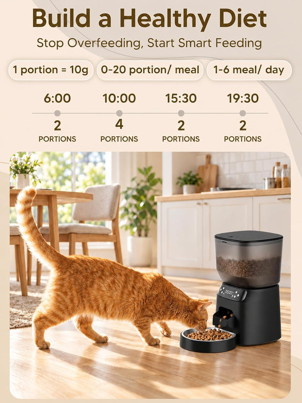 Automatic Cat Feeder and Cat Water Fountain, Timed Dry Food Dispenser