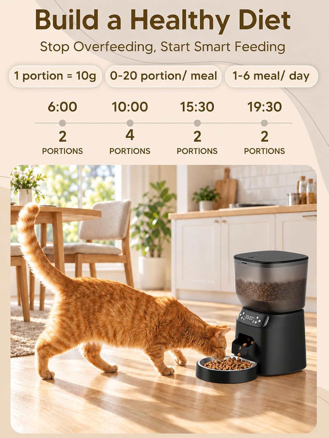 Automatic Cat Feeder and Cat Water Fountain, Timed Dry Food Dispenser