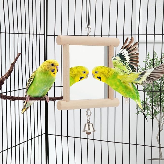 Hypeety Pet Bird Mirror with Bell Interactive Parrot Toy - Image 5
