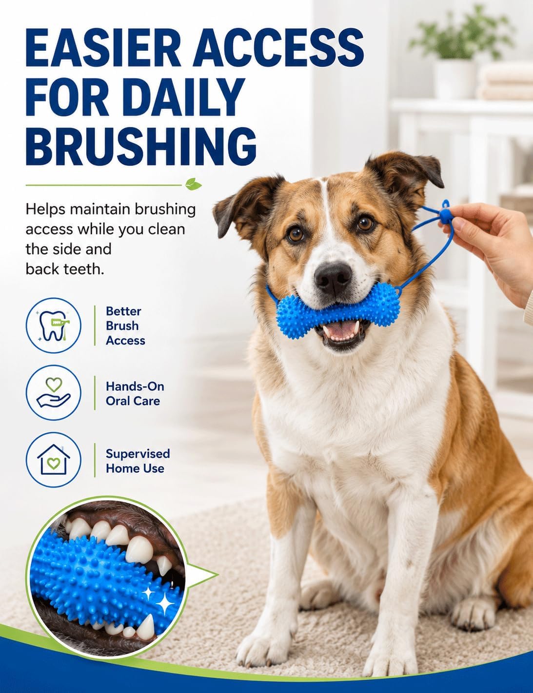 Dual-Action Canine Dental Prop, Bite and Brush Dog Toothbrush Helper with Adjustable Head Strap, Soft Rubber Dog Mouth Opener for Small, Medium and Large Dogs，2