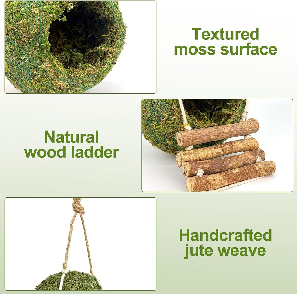 Handmade Moss Reptile Hanging Nest 4 Pcs Set, Large 6″ x 6″