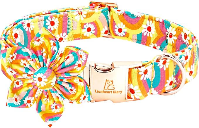Lionheart glory Dog Collar by LionheartGlory