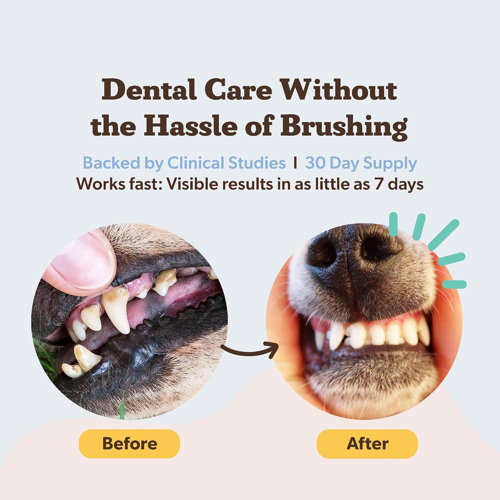 Natural Dog Company Dog Dental Powder for Dogs, Teeth Cleaning, 2.82 oz