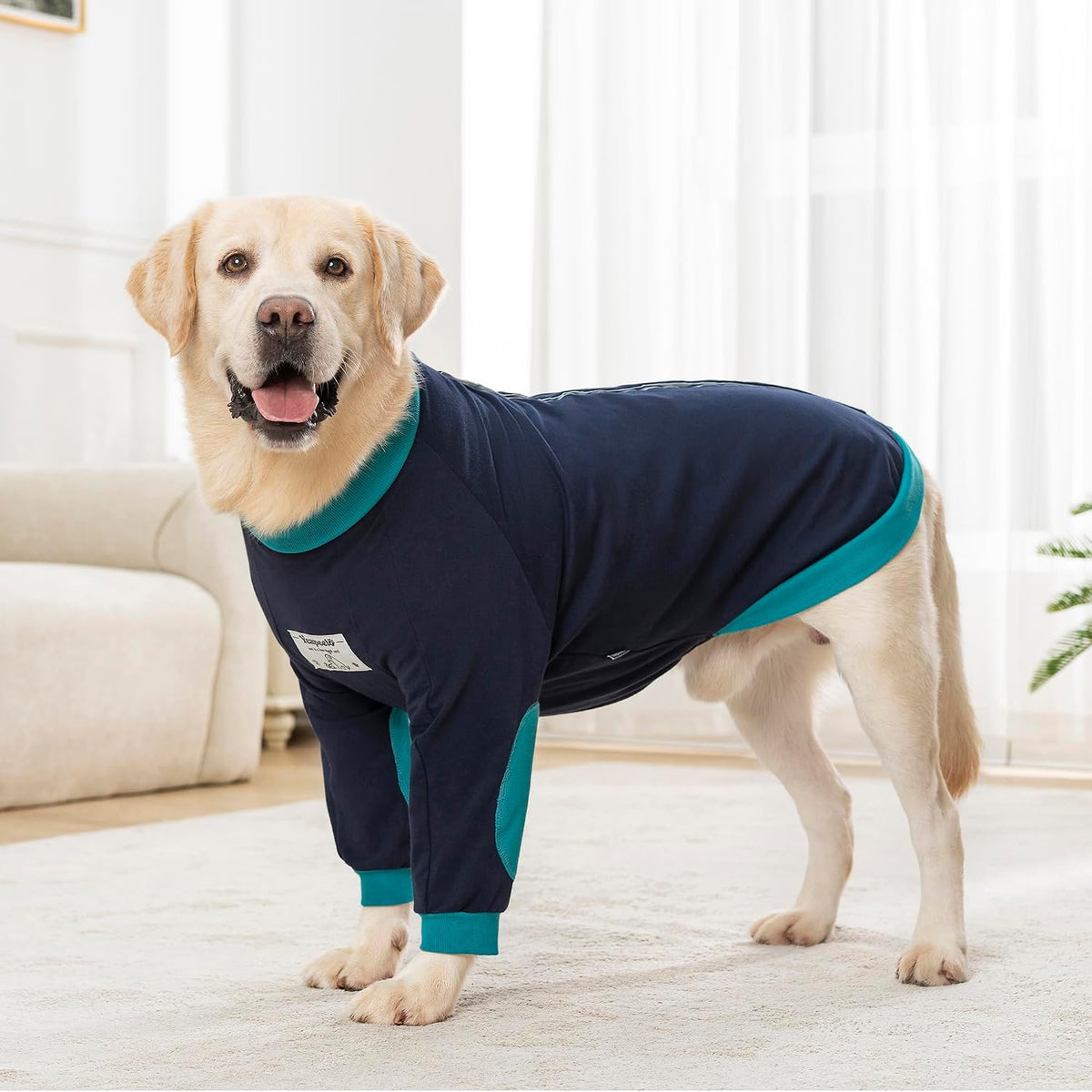 Dog Shirts Elbow Protector Front Legs, Dog Recovery Suit Stop Licking Sleeve for Wound Cover Post-Surgery for Labrador or Medium Large Dogs (Blue-Green, 5XL(Weight 65-88 lbs))