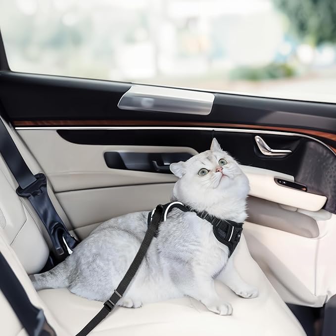 Cat Harness and Leash Set, Cat Car Harness, Soft and Breathable Vest - Image 4