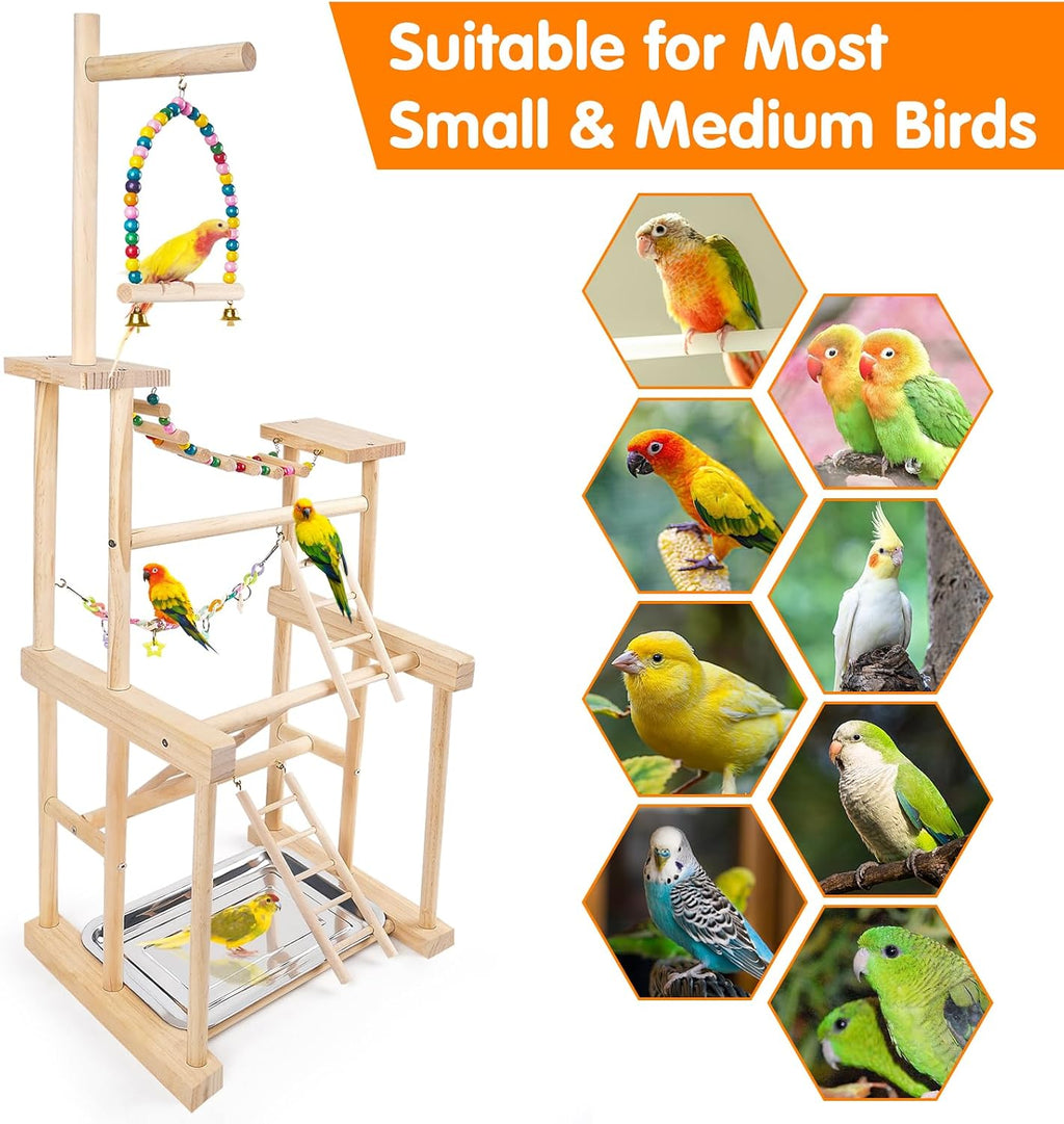 Bird Playground 4 Tier, Parrot Perch Stand Bird Play Stand with Feeder Cups, Ladder, Chain Toy, Swing and Detachable Tray, Parrot Playground for Parakeet Conure Cockatiel Lovebird Budgie