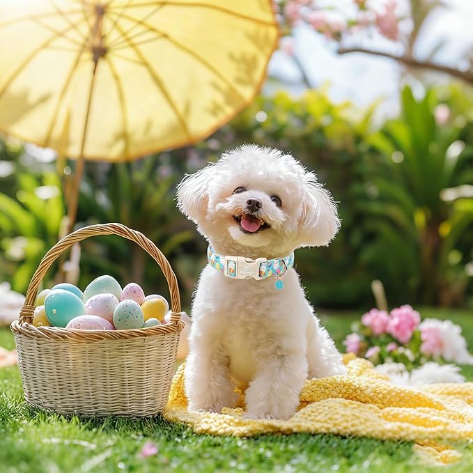 Easter Dog Collar for Medium Dogs - Image 5