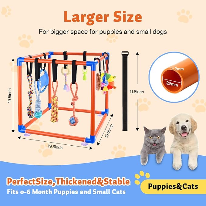 Puppy Play Gym for Small Dogs - Image 2