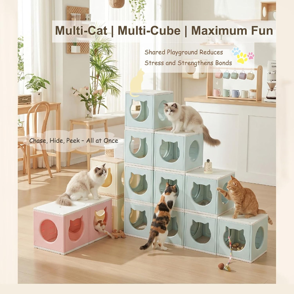 Stackable HDPE Cat Tree Tunnel Hideout, 2-in-1 Playhouse for Indoor Cats