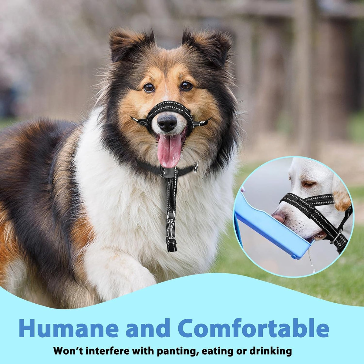 BARKLESS Soft Dog Head Collar, Patented Padded No Pull Training Head Halter