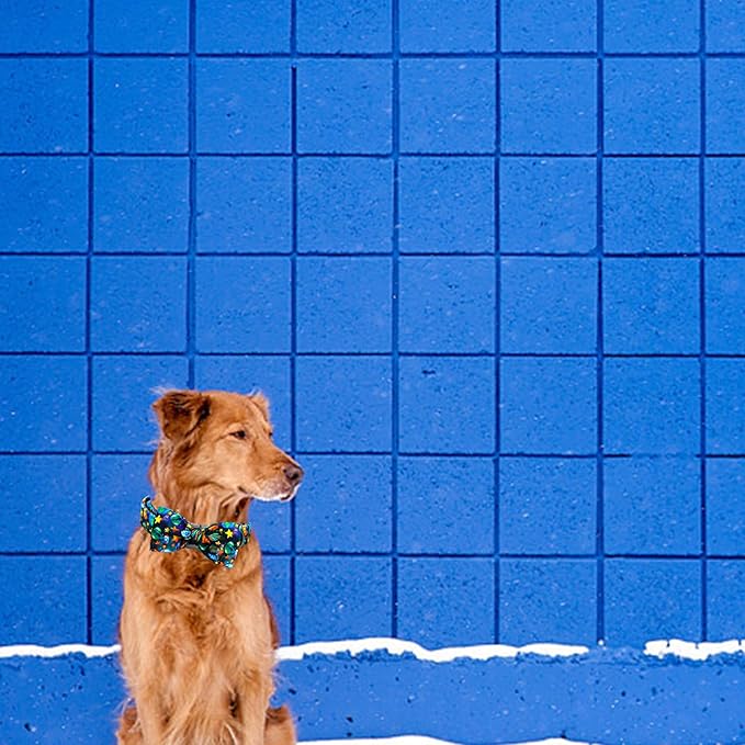 Elegant little tail Dog Collar, Boy Pet Collrs Blue Durable Soft Bowtie Dog - Image 6