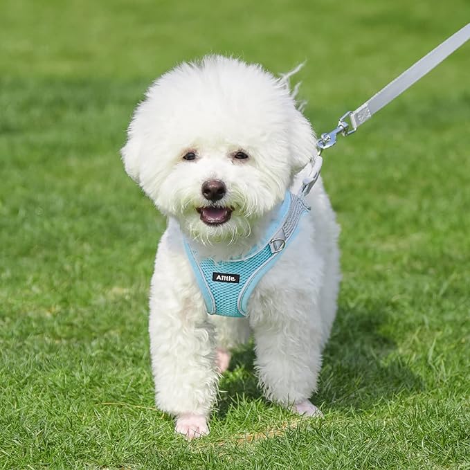 AIITLE Dog Harness, No-Pull Cat Harness - Image 7