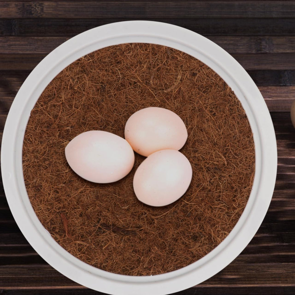 POPETPOP 4 Sets Pigeon Nest Bowl, Plastic Nesting Pot with Mats for Dove