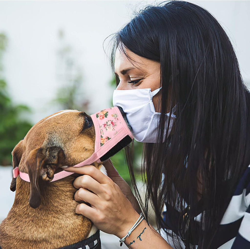 HEELE Dog Muzzle,Soft Nylon Muzzle Anti Biting Barking Chewing,Air Mesh Breathable Drinkable Adjustable Loop Pets Muzzle for Small Medium Large Dogs 4 Colors 4 Sizes (P-Pink Flower, M)
