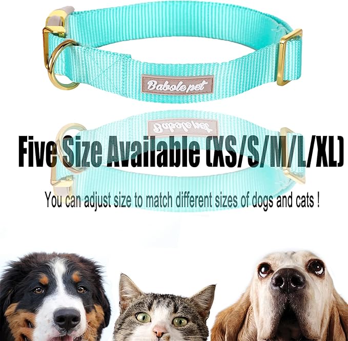 Nylon Dog Collar - Image 8