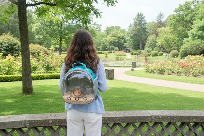 Small Animal Carrier Guinea Pig Backpack, Transparent, Breathable Backpack - Image 7